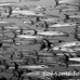 barracuda_blackfin_er_h_0705_png1114.jpg